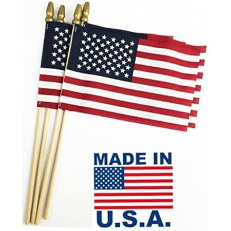 GIFTEXPRESS 12-Pack Made in USA 12x18 Inch US Stick Flags with Spear Tip, 12in x18 inch Handheld ... | Amazon (US)