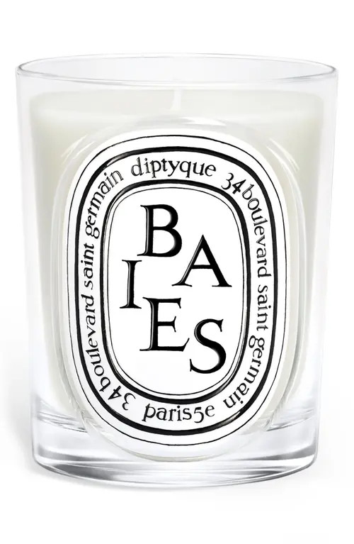 Diptyque Baies classic candle