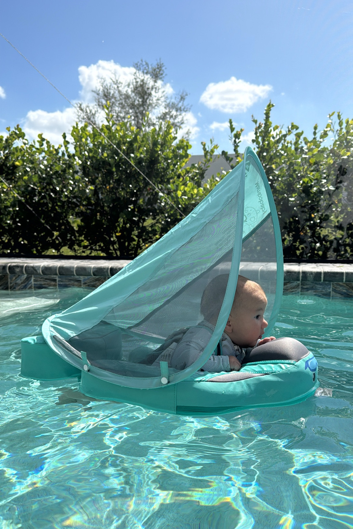 Baby swim float
Amazon find

#LTKBaby #LTKTravel #LTKSwim