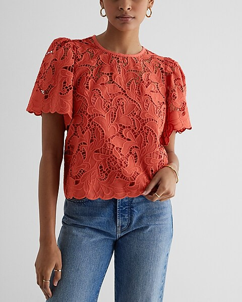 Embroidered Crochet Puff Sleeve Top | Express