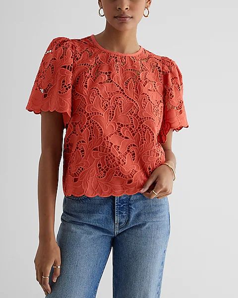 Embroidered Crochet Puff Sleeve Top | Express