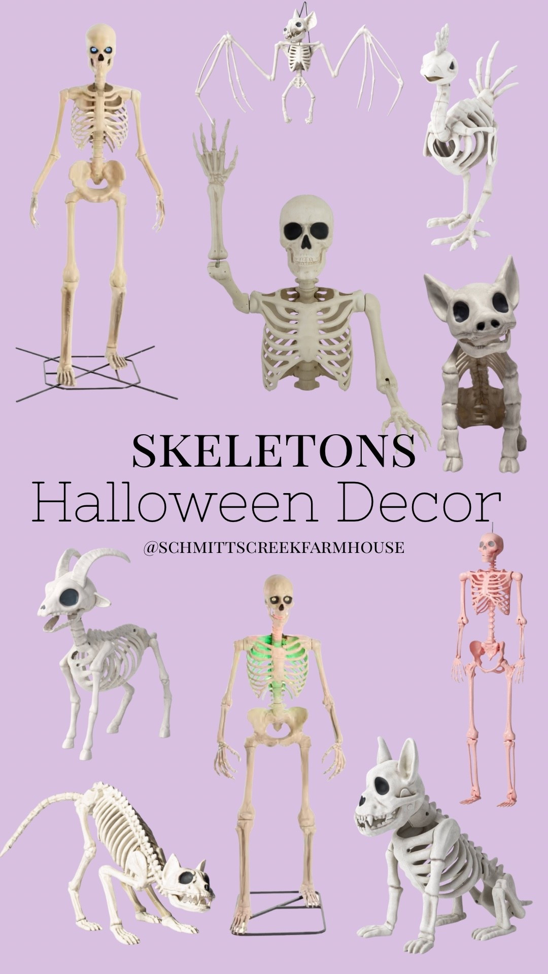 Couldn’t pass up sharing these animal skeletons for my fellow farm friends 💀

Farm Animal Skeletons | Affordable Halloween Decor

#LTKSeasonal #LTKHome #LTKFamily