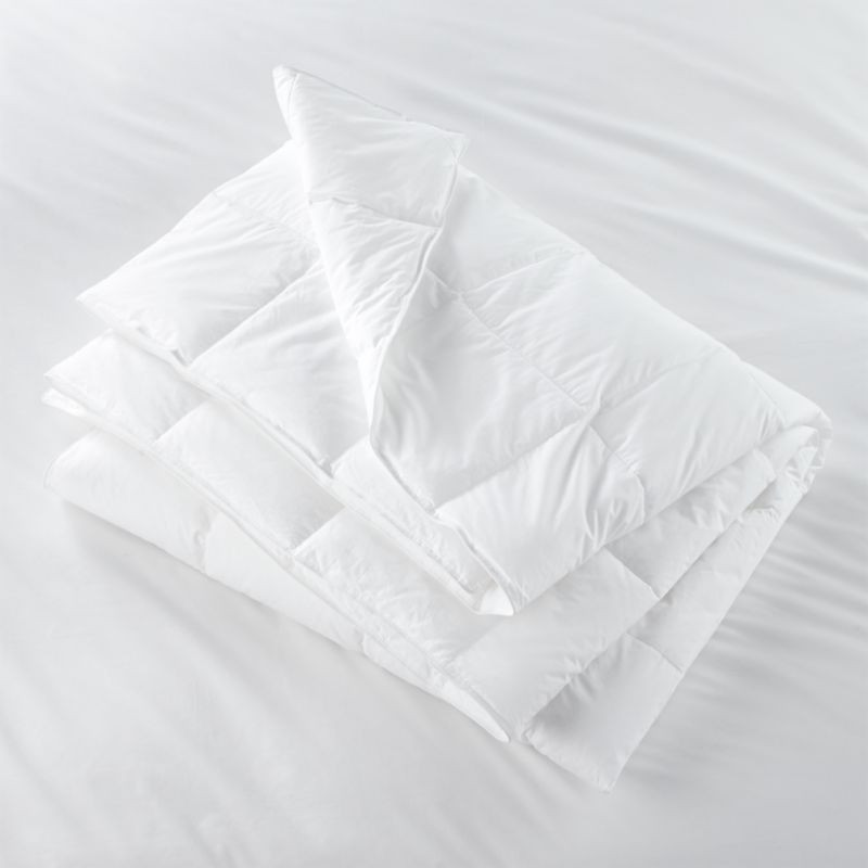 Hypoallergenic Lightweight King Duvet Insert. + Reviews | Crate and Barrel | Crate & Barrel