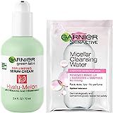 Garnier SkinActive Green Labs Hyalu-Melon Replumping Serum Cream Moisturizer with SPF 30 and Hyaluro | Amazon (US)