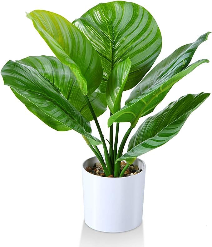 Kazeila Artificial Calathea Orbifolia Plant 15.75 Inch Small Fake Prayer Plant,Faux Desk Plant in... | Amazon (US)