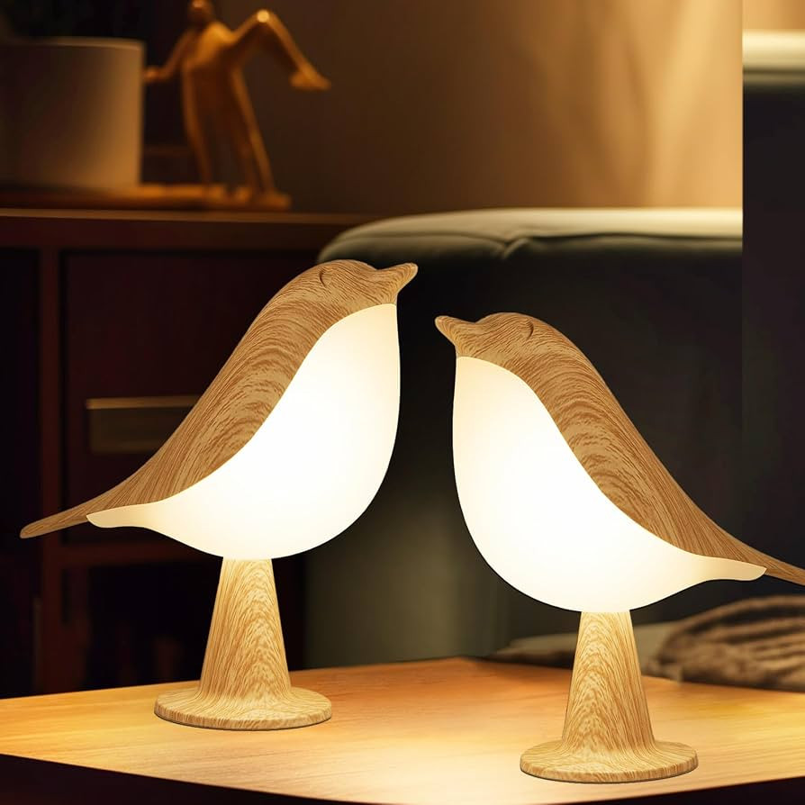 2 Pack ird Small Desk Lamp, Dimmer Kids Night Light for Bedroom, Cordless Table Lamp with 3 Color... | Amazon (US)