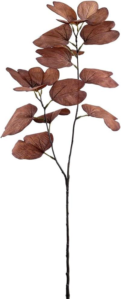SilksAreForever 31.5" Bauhinia Leaf Artificial Stem -Brown (Pack of 12) | Amazon (US)