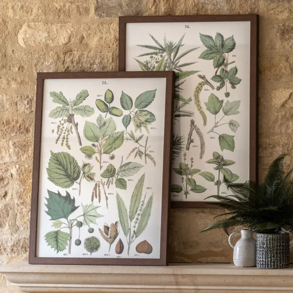 Cedar & Sage Set of 2 Foliage Study Framed Prints | Dunelm