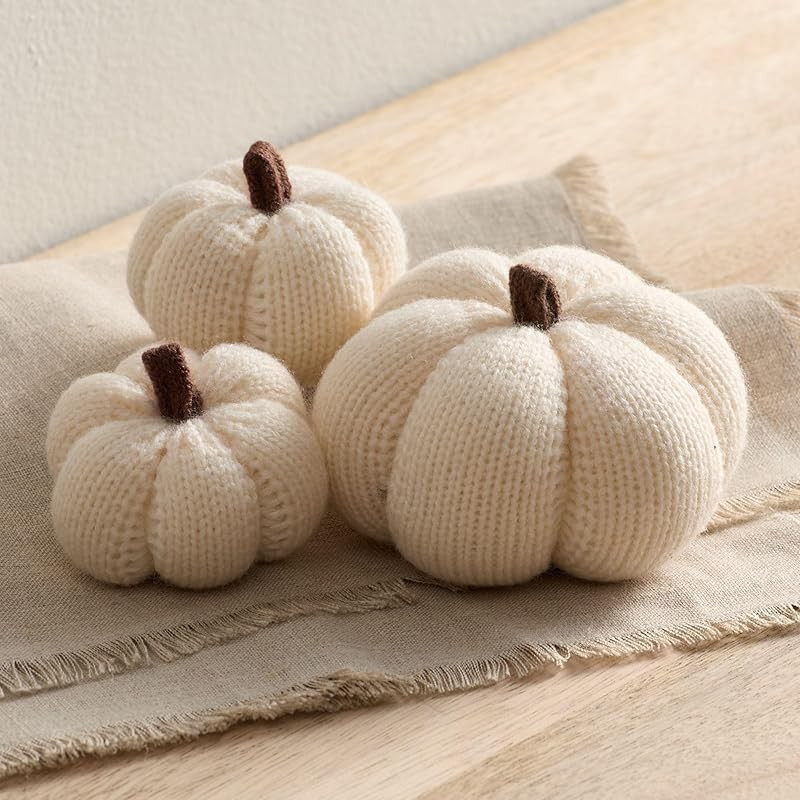 Cozy Mini Knit Set of 3 Ivory Pumpkins, Table top décor, Fall Accent Bowl Filler, tablescape, Ne... | Amazon (US)