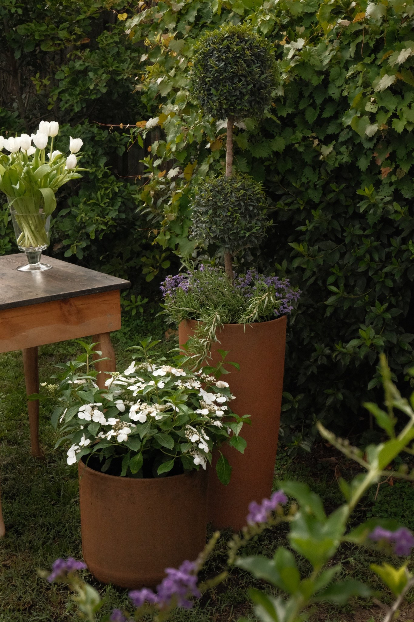 these planters with patina are my favorite new addition to our backyard 😍 

#LTKHome #LTKSummerEdit #LTKSeasonal