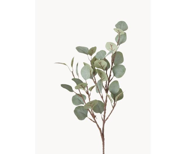Branche décorative Eucalyptus | Westwing | Westwing EU