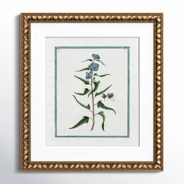 Shabby Elegance Botanical I by Kelly Donovan | Birch Lane