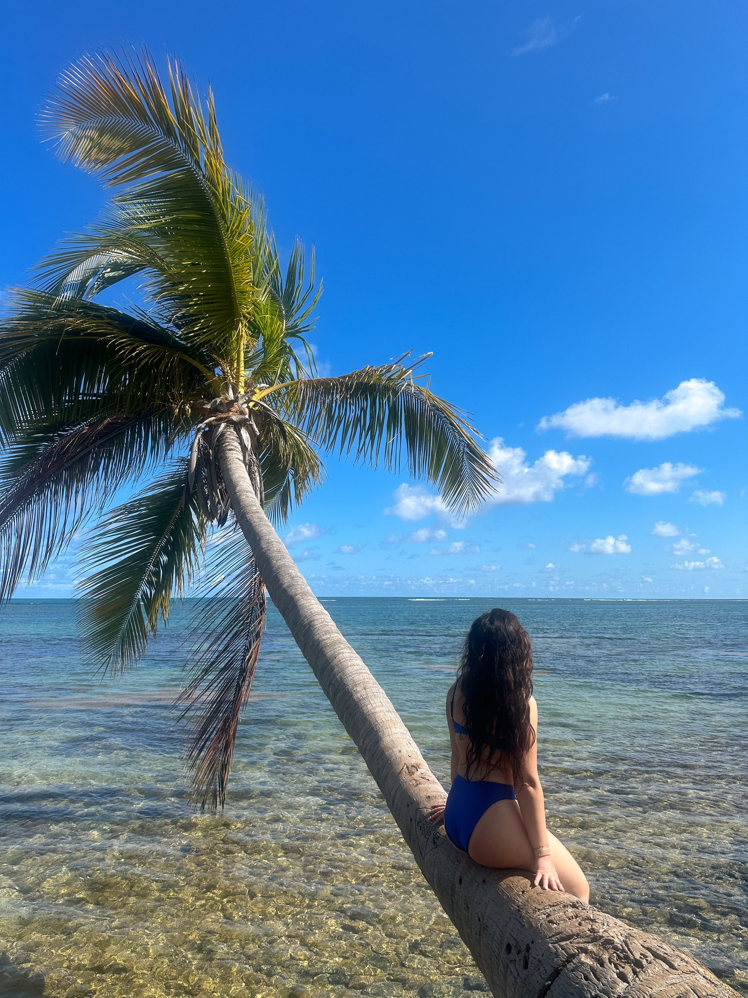 Island state of mind, wearing this sapphire blue bikini from dippin daisys 

High waisted bikini| summer outfit| vacation clothing| beach attire| on a holiday| must have bathing suit

#LTKSeasonal #LTKtravel #LTKswim