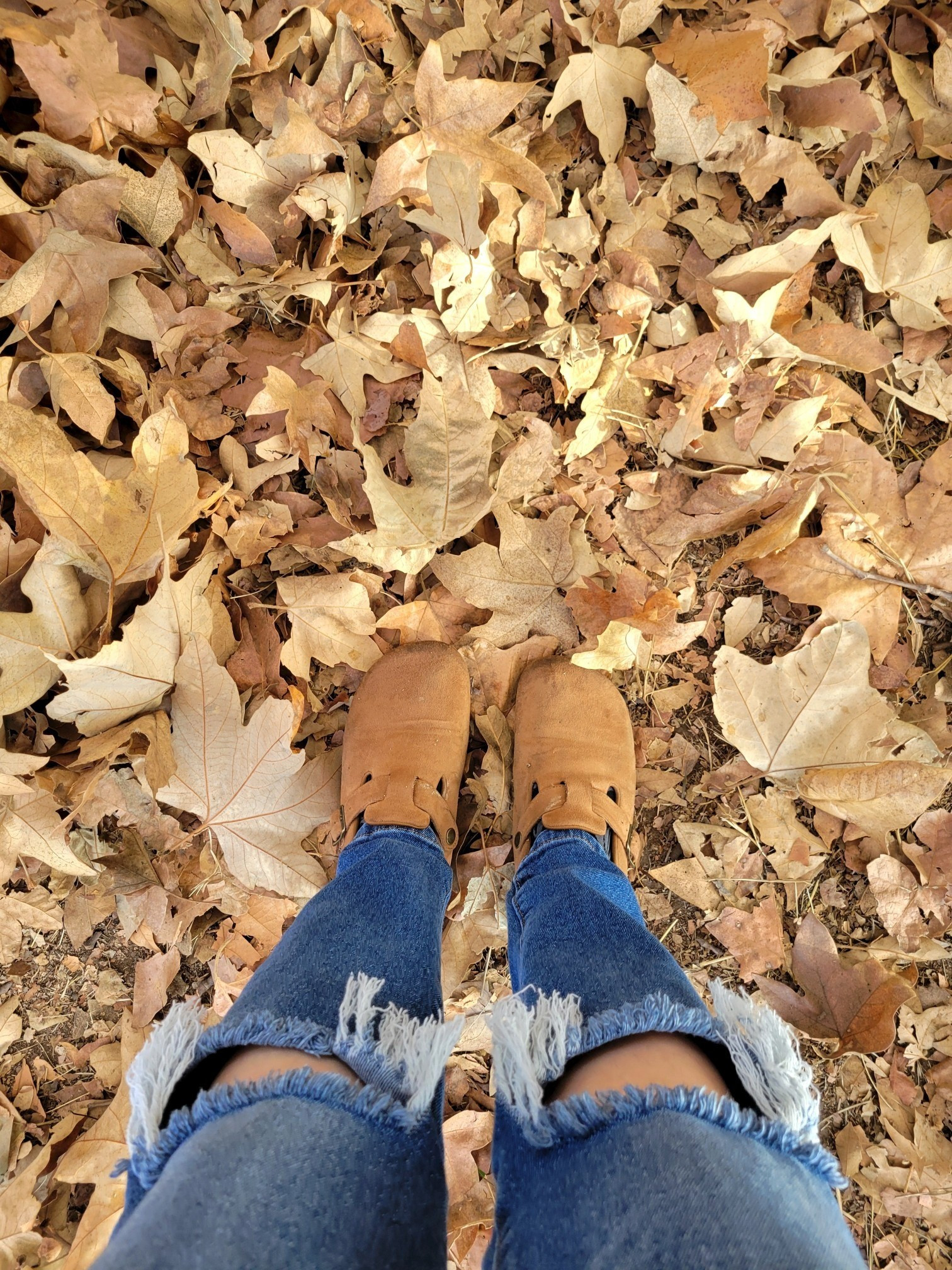 #LTKootd #LTKSeasonal #LTKTravel
