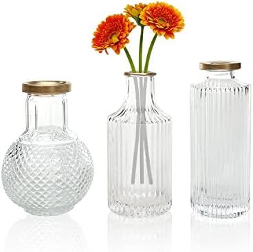 DN DECONATION Small Single Vase for Centerpieces Set of 3, Glass Bud Vase in Bulk, Decorative Rus... | Amazon (US)