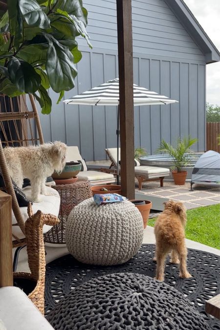 Bad photo but I linked a ton of our outdoor furniture and outdoor patio decor! My egg chair is on sale too.

Outdoor furniture, affordable furniture, patio decor, outdoor decor, patio furniture, Walmart home

#LTKSeasonal #LTKStyleTip #LTKHome