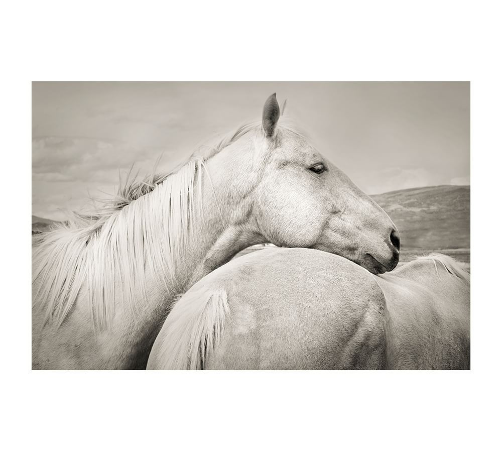 Pottery Barn | Pottery Barn (US)