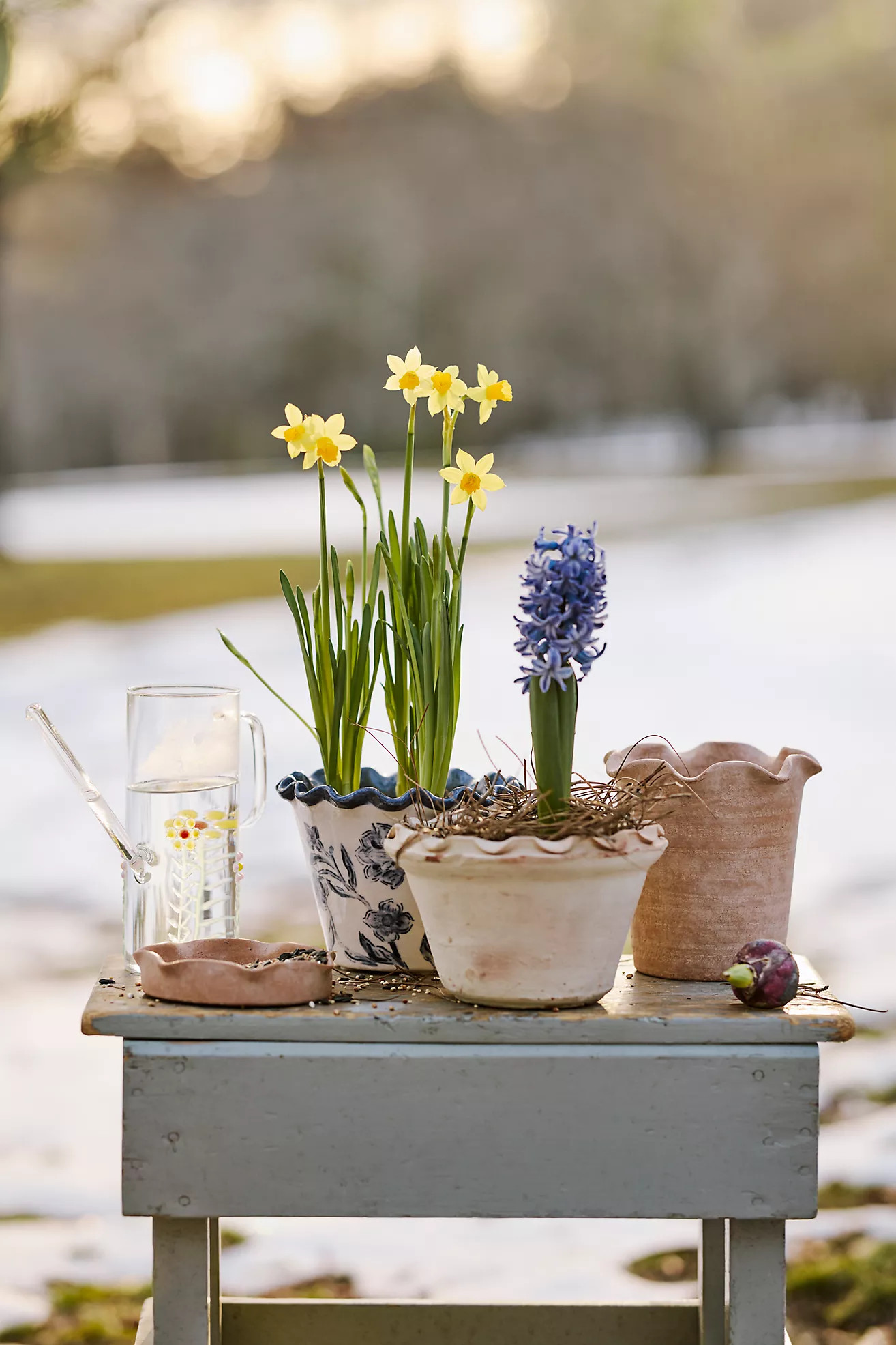 Pie Crust Terracotta Taper Planter | Anthropologie (US)