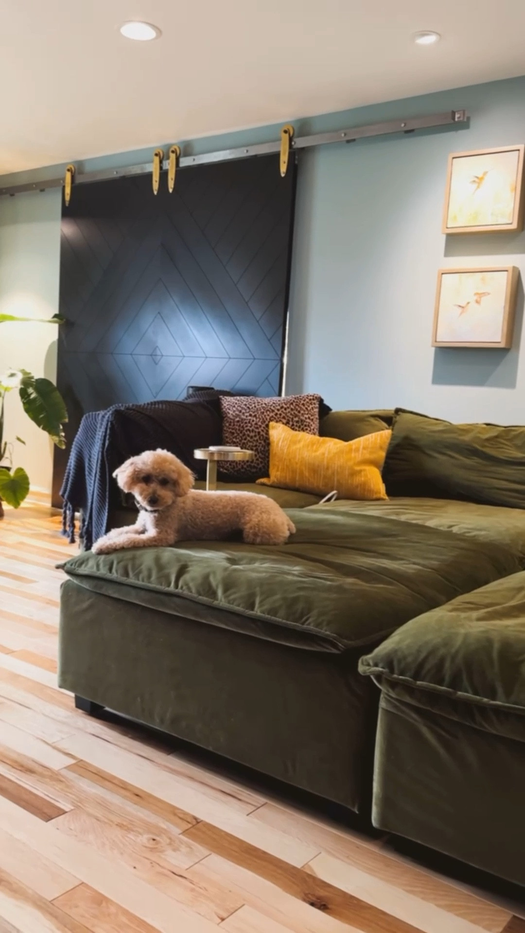 So excited that our floors are finally done! Our couch is looking so good in the space, linking it for you here 

#LTKHome