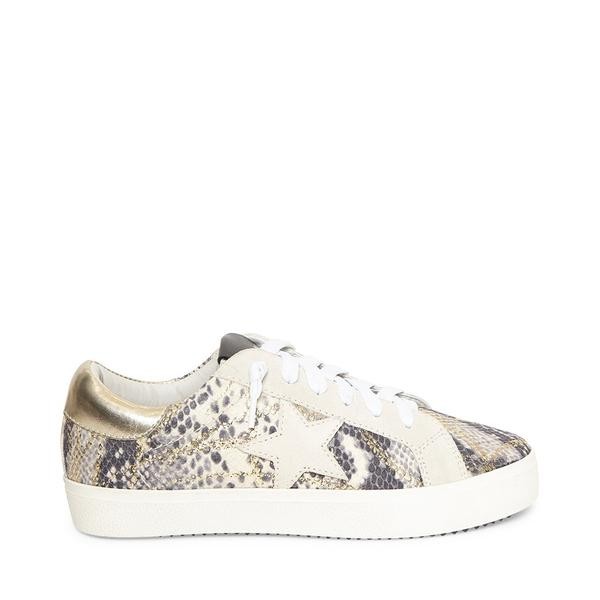 dsw golden goose