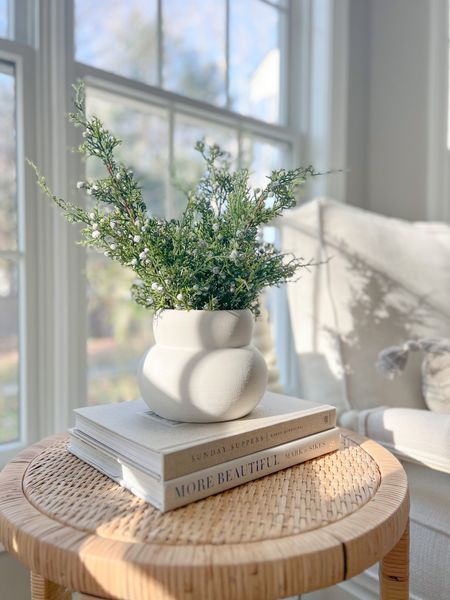 Never underestimate the simple beauty of greens in a white vase (or bowl) during the holiday season! It’s classic and festive - yet so simple! My juniper sprays from Afloral are sold out but I’ve linked some other great options in my LTK shop, as well as some of my favorite white vases!
-
coastal decor, beach house decor, beach decor, beach style, coastal home, coastal home decor, coastal decorating, coastal interiors, coastal house decor, home accessories decor, coastal accessories, beach style, neutral home decor, neutral home, natural home decor, christmas decorations, christmas decor, holiday decor, coastal decor, beach house decor, beach decor, beach style, coastal home, coastal home decor, coastal decorating, coastal interiors, coastal house decor, home accessories decor, coastal accessories, beach style, natural home decor, neutral christmas decor, afloral pine stems, greenery, white vases

#LTKHoliday #LTKstyletip #LTKhome