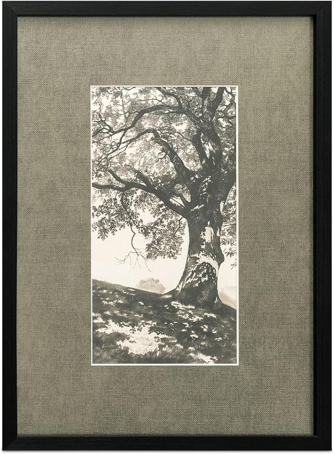 NADAAL STUDIOS Oralyn Framed Print, Idyllic Morning Scene on Paper with Textured Mat and Solid Wo... | Amazon (US)