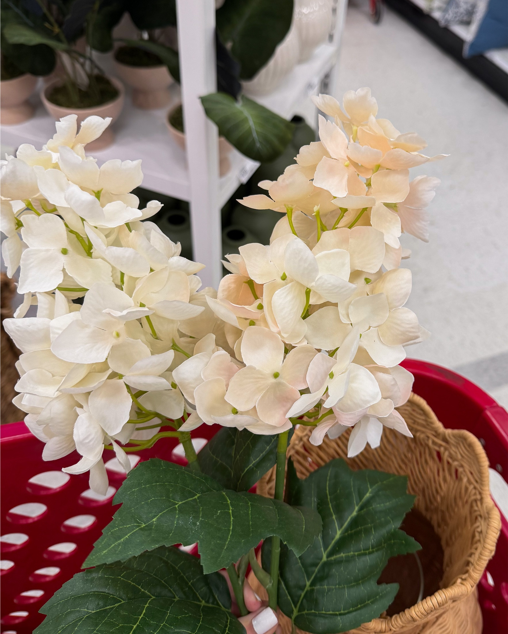 Target home, spring and Valentine Favorites 🪴💌

#LTKFindsUnder50 #LTKHome #LTKSeasonal