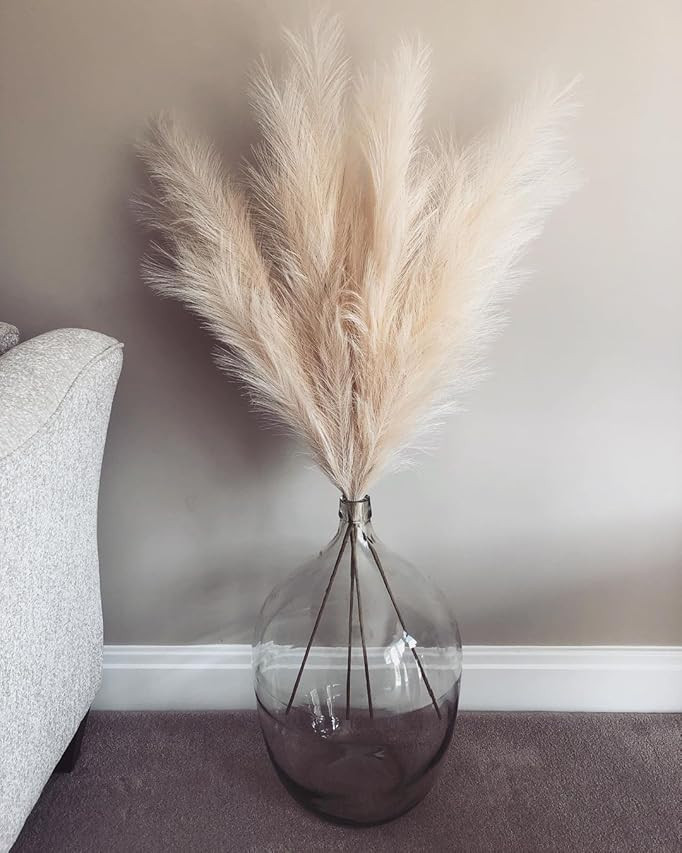Boho City Blooms Pampas Grass| 5 Stems: 40-48in | Premium Dried Pampas Grass | Boho Decor |Floor vas | Amazon (US)