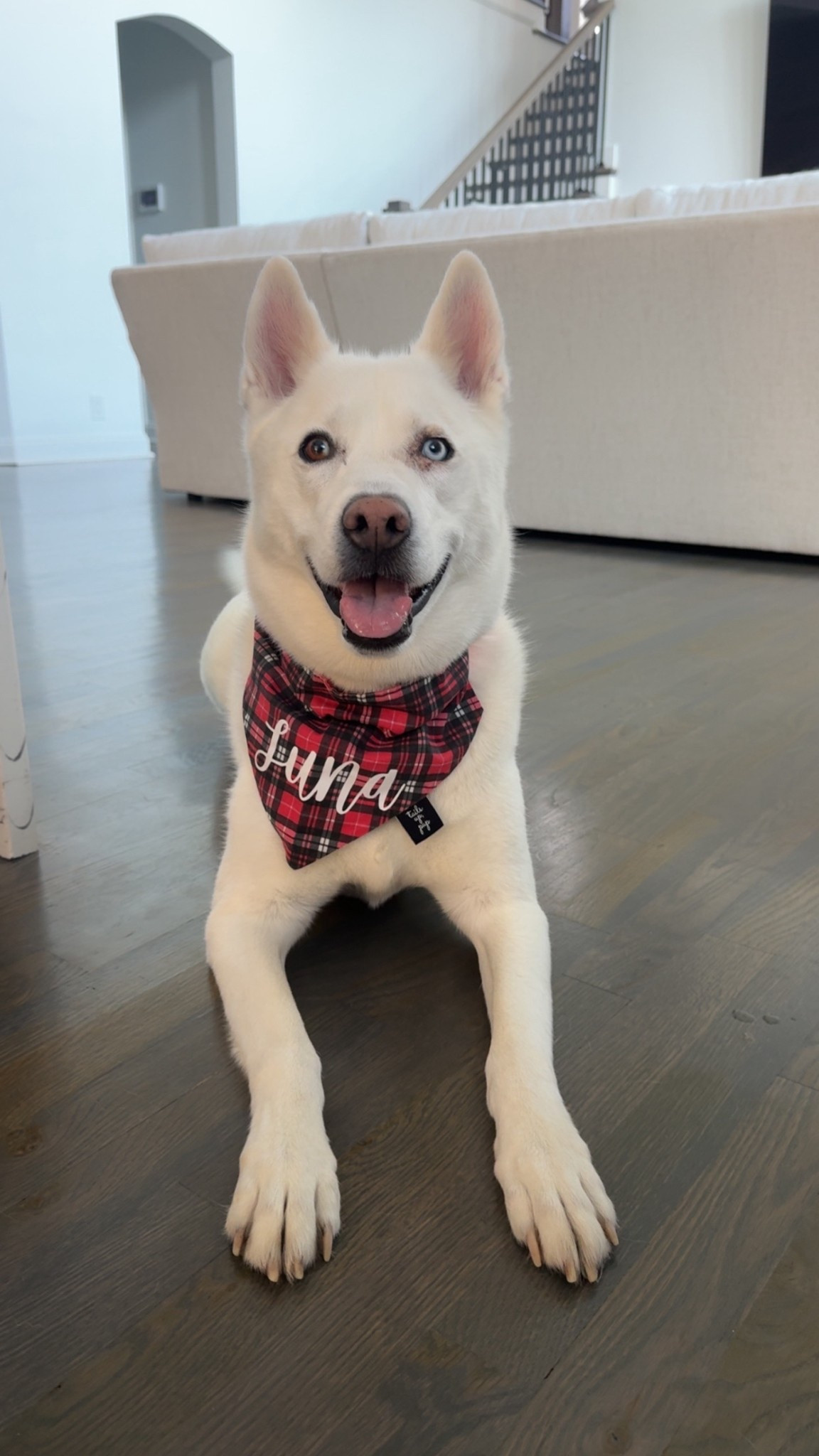 My snow princess in her Christmas bandana ❤️🎅🏼🎄

#LTKHome #LTKSeasonal #LTKHoliday