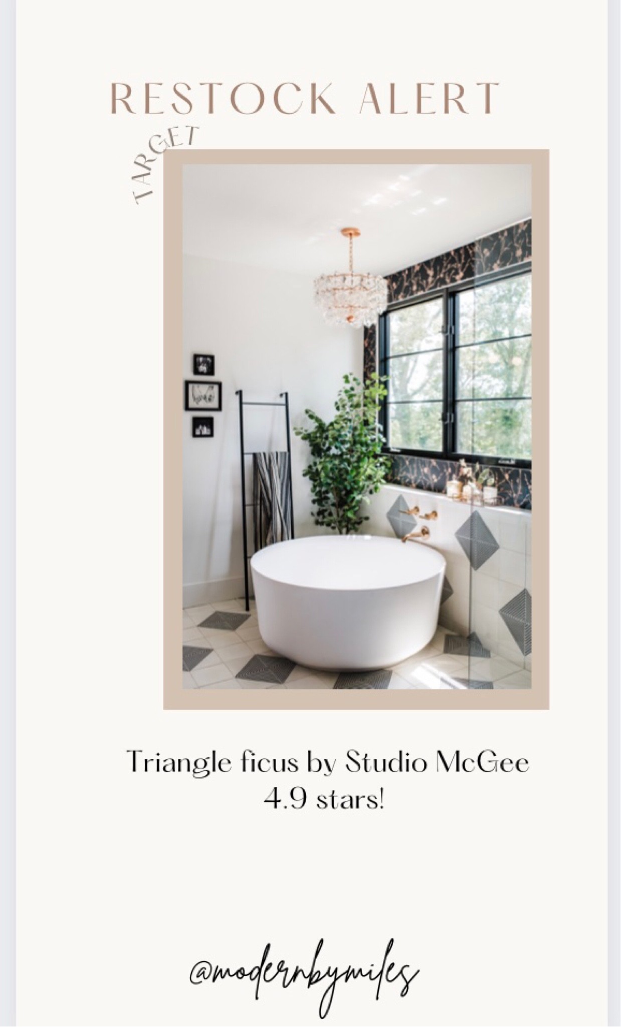 Ficus tree is back!



#LTKhome #LTKsalealert