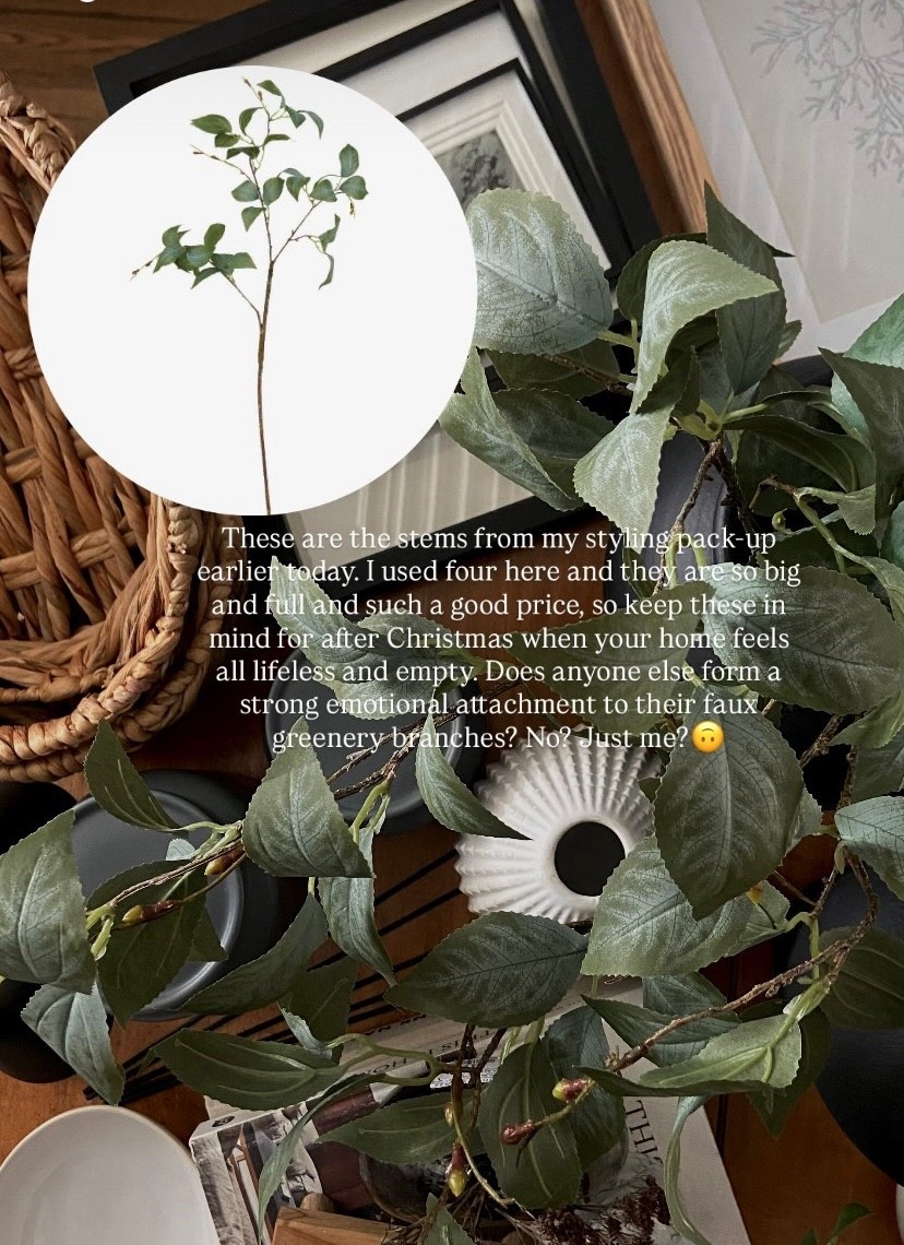 Love these new stems that just came in! Such a great price, and they’re so full that you only need a few to fill a large vase! I’m using 4 here. Fully bendable and a beautiful, graceful shape. Save these for when your home feels empty after Christmas!

#LTKSeasonal #LTKFindsUnder50 #LTKHome