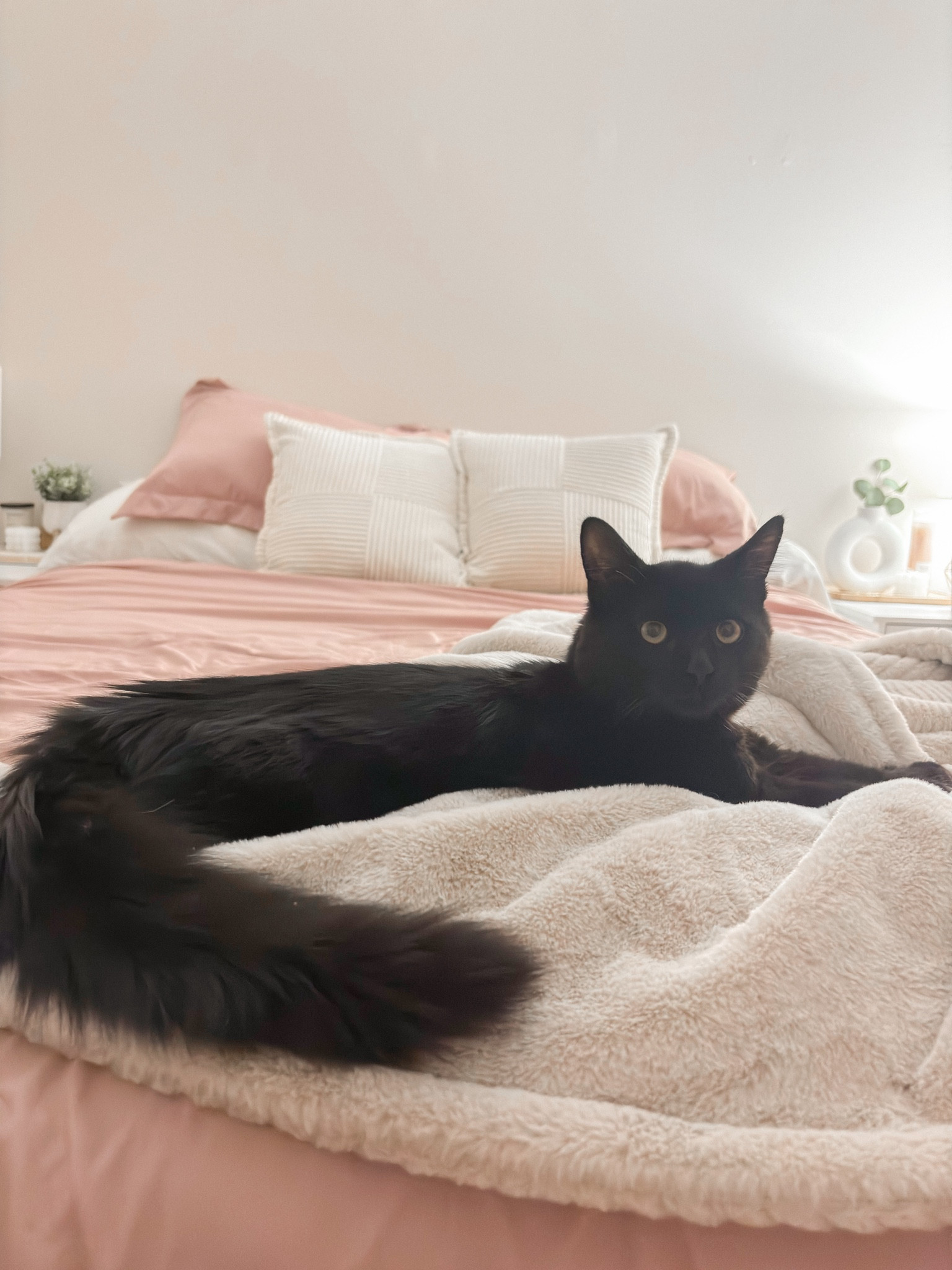 Bedroom decor | bedroom makeover | spring bedroom decor 

#LTKhome #LTKfindsunder50 #LTKstyletip