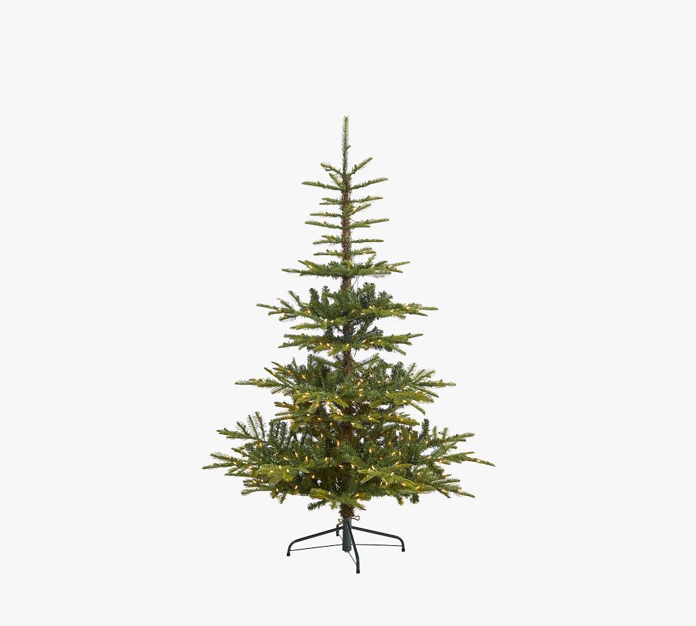 Faux Pre-Lit Washington Spruce, 6' | Pottery Barn (US)