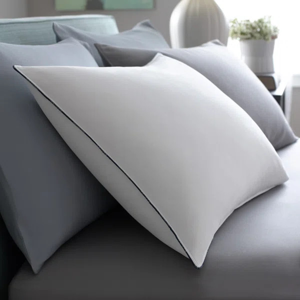 Feather Plush Support Pillow | Wayfair North America