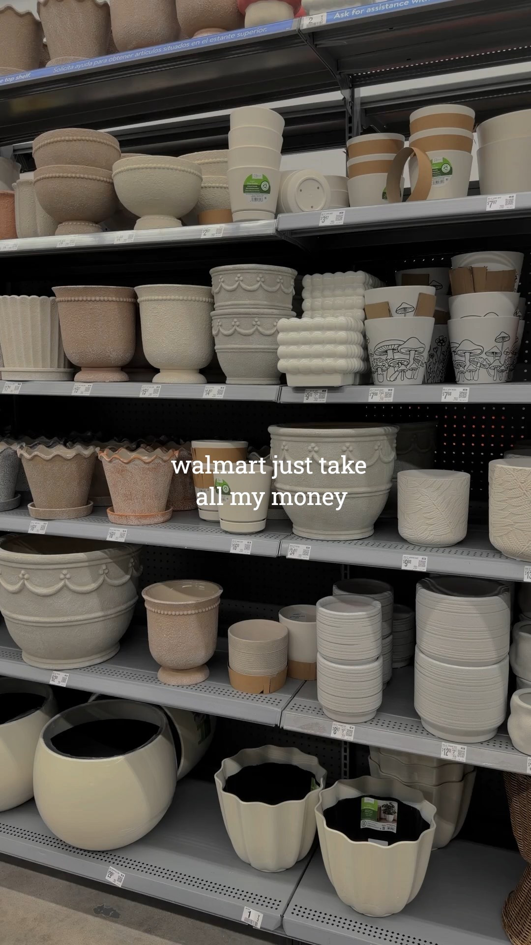these planters look way more expensive than they are and i’m not gate keeping, they understood the assignment 👏🏻

#LTKHome