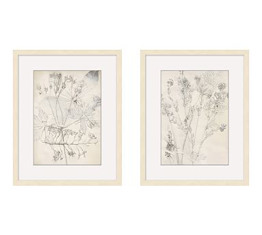Ivory Foliage Prints | Pottery Barn (US)