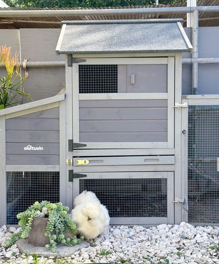 Chicken lady vibes. This coop is durable and strong. It’s the perfect size for silkie hens in the backyard. 

#LTKhome