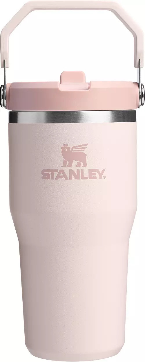 Stanley 20 oz. IceFlow 2.0 Flip Straw Tumbler | DICK'S Sporting Goods