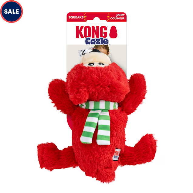 KONG Holiday Cozie Bear Red Dog Toy, Medium | Petco
