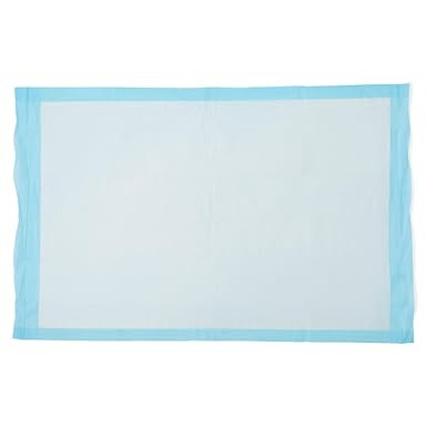 Amazon.com: Medline Quilted Basic Disposable Blue Underpad, 23 x 36 for incontinence, Furniture P... | Amazon (US)