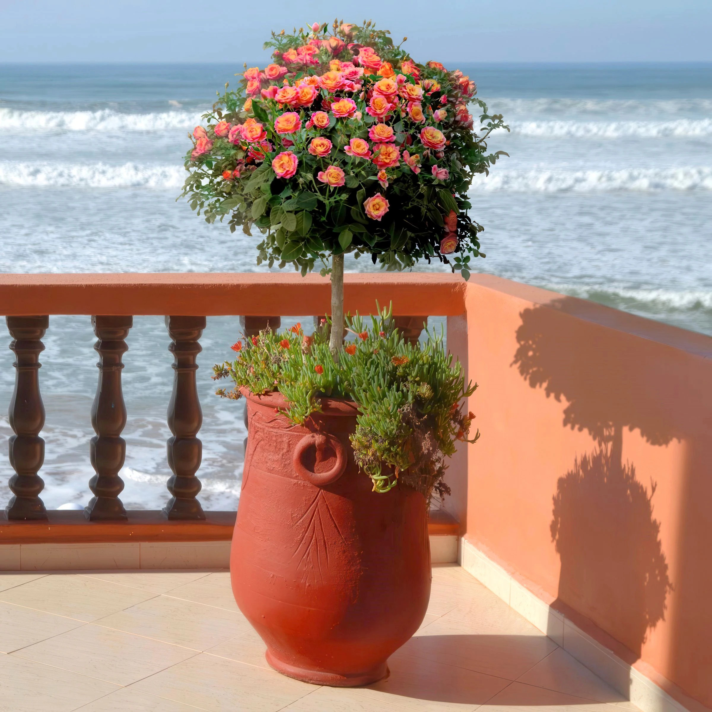 National Plant Network Rainbow MiniFlora Patio Tree 1 -Pack 1 -Pack in Bare root one_size | LW2170 | Lowe's