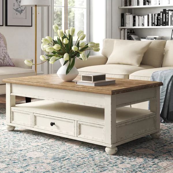 Sara Lift Top Coffee Table with Storage | Wayfair North America