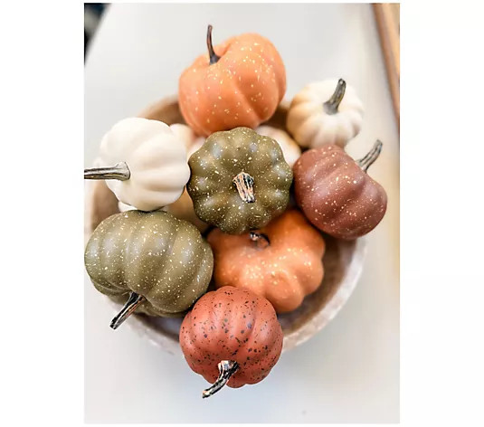 Simply Stunning Set of 10 Mini Pumpkins by Janine Graff | QVC