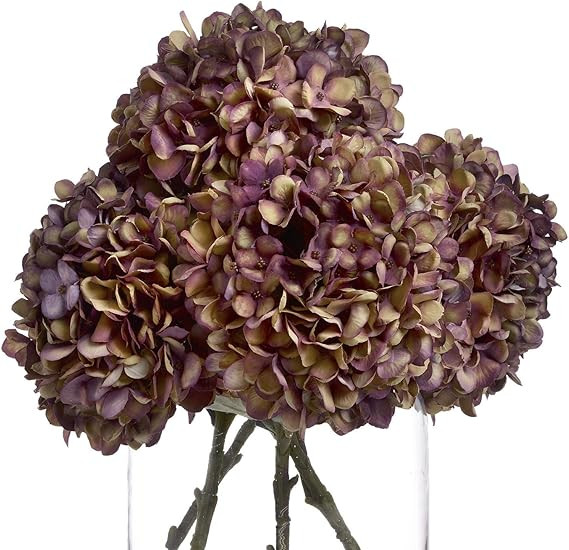 Autumn Burgundy Hydrangea, Multicolour, One Size | Amazon (US)