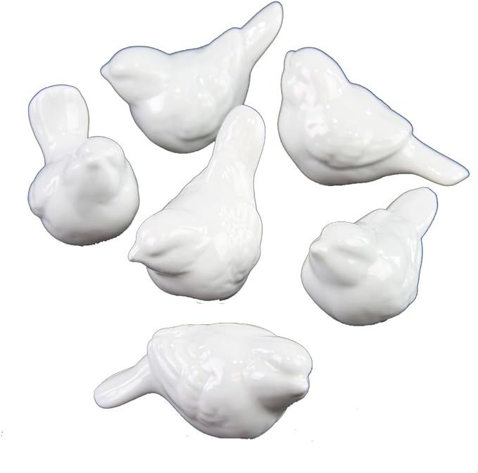Creative Co-Op DE5729 Set of 6 White Ceramic Birds | Amazon (US)