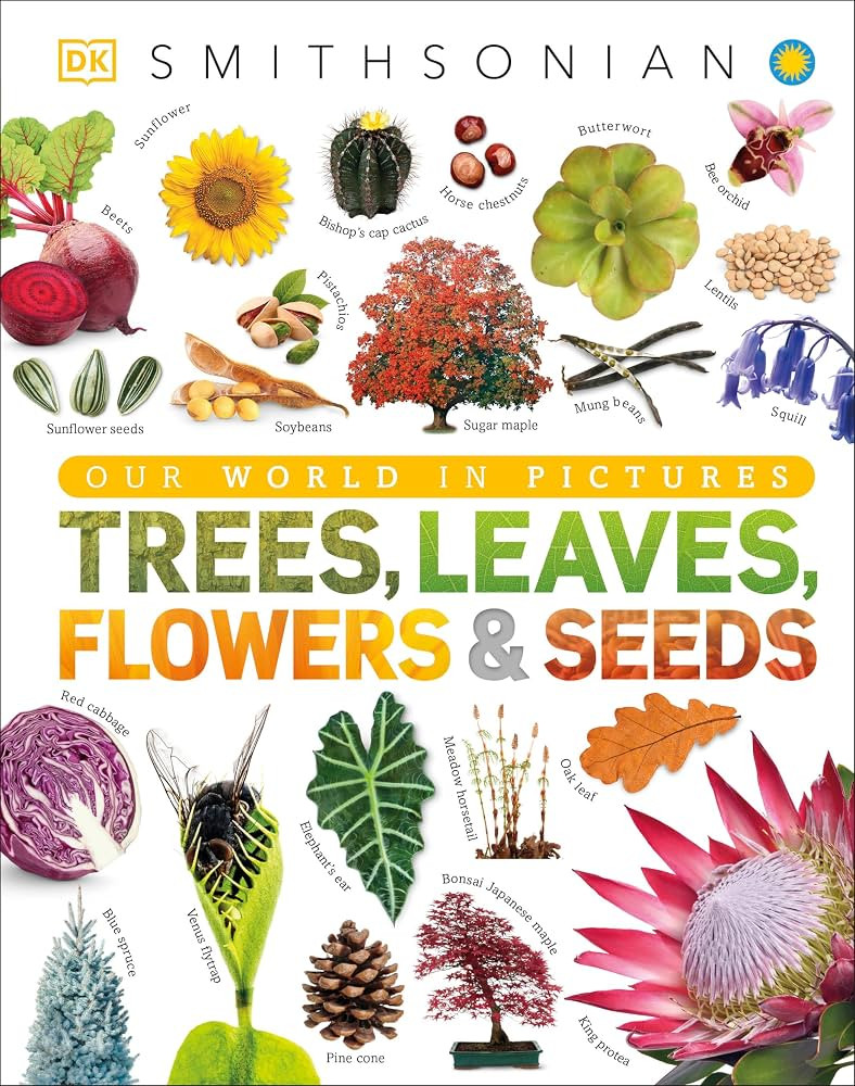 Trees, Leaves, Flowers & Seeds: A Visual Plant Encyclopedia for Kids (DK Our World in Pictures) | Amazon (US)