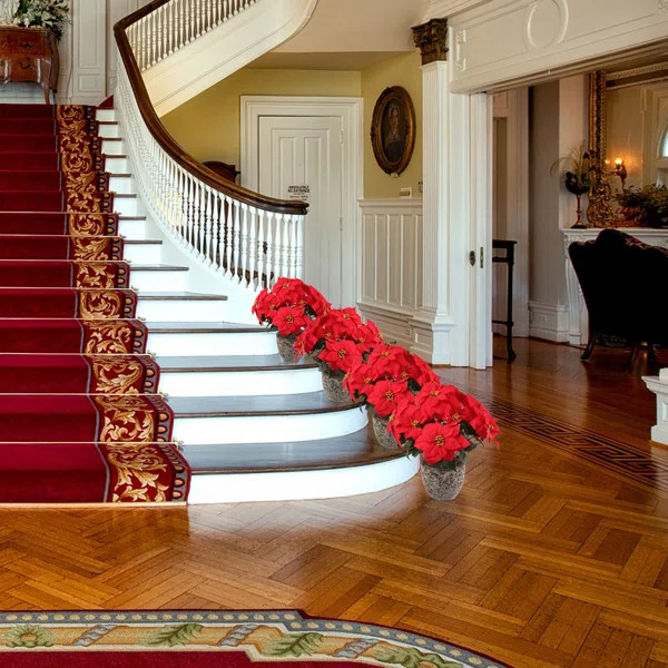 Similar Faux Flowers Below | Wayfair North America