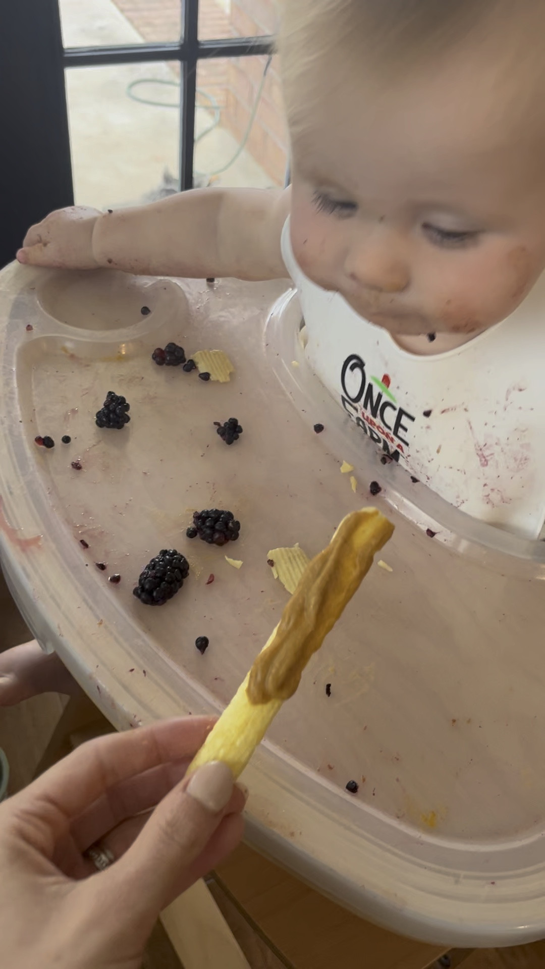We really try to avoid serving rice based products to our littles due to the higher arsenic content. Instead of serving rice based teethers, you can try Little Bellies Pick Me Sticks. Plus, we love to add a nutrient dense spread like cerebelly or serenity kids pouches to help boost nutrition intake. 

#LTKKids #LTKBump #LTKBaby