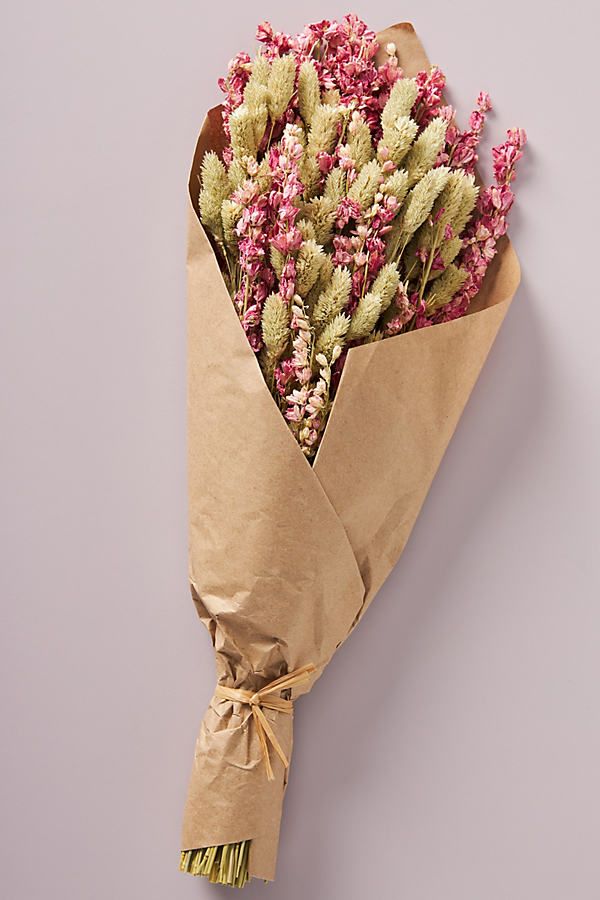 Dried Valentina Bouquet By Anthropologie in Pink | Anthropologie (US)