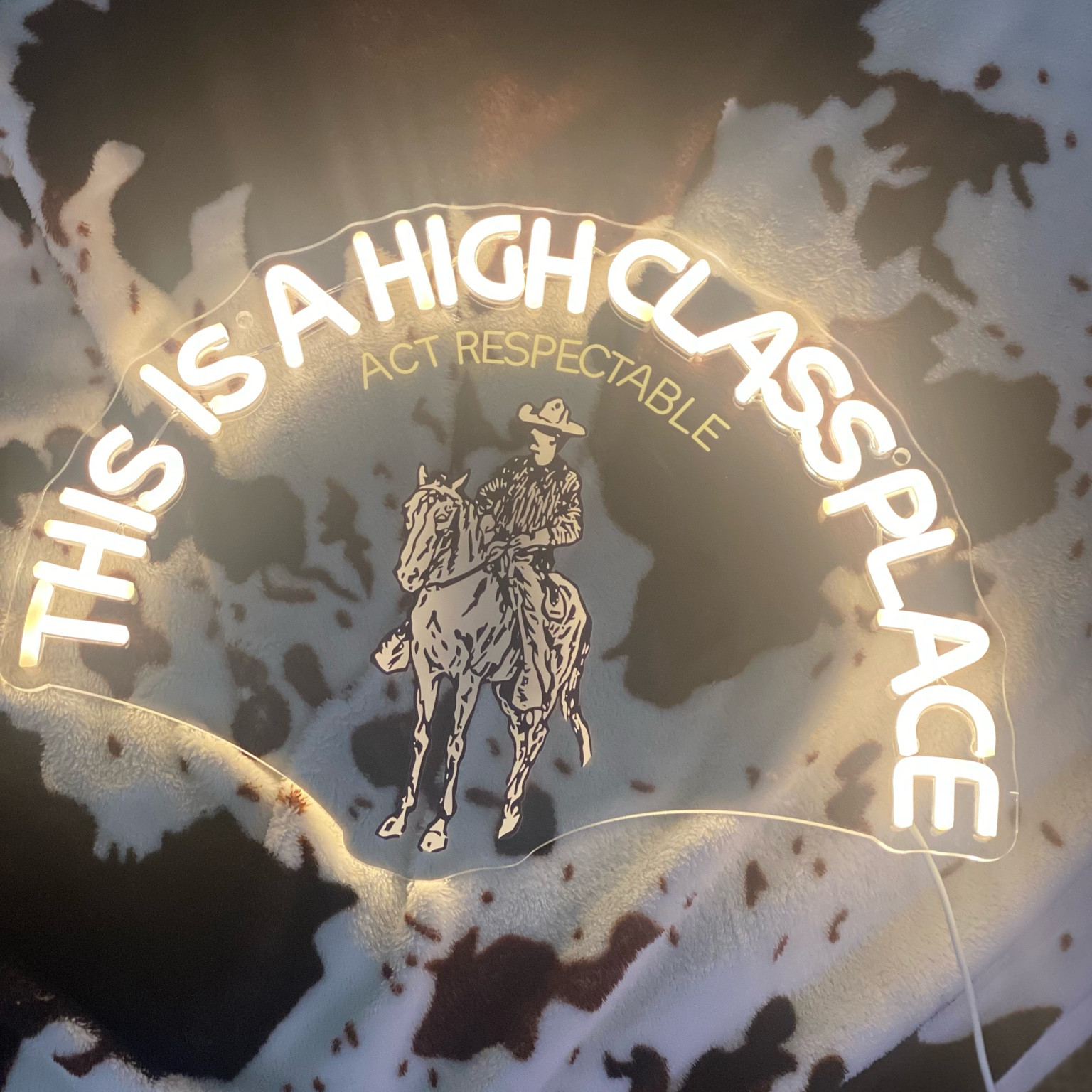 This Western Neon Sign is so cute!


#LTKHome